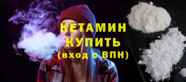 твердый Гатчина