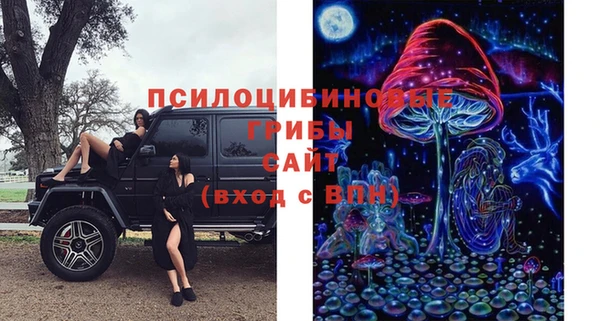 винт Галич