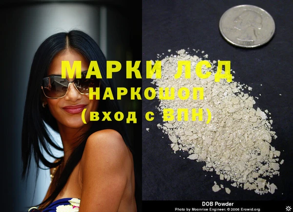 спайс Инта