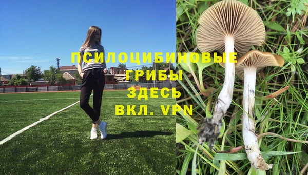альфа пвп Зерноград